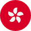 香港國旗